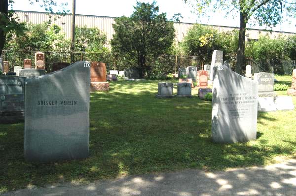 Brisker Verein plot