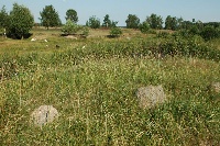 cemetery